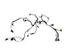 2016-20 Tesla Model X Rear Left Side Door Wiring Harness Cable Wire 1032441-00-G