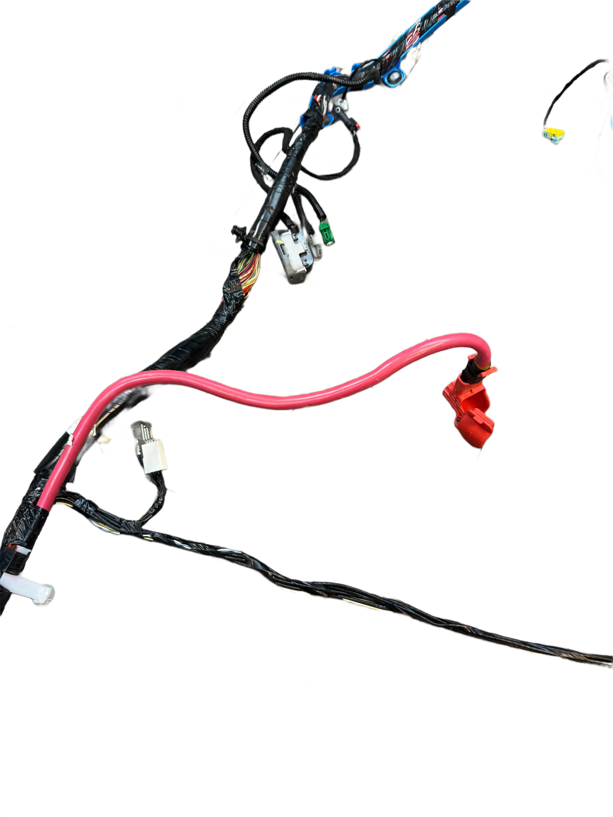 2020-2023 Tesla Model 3 M3 Right Passenger Main Body Wire Harness Oem