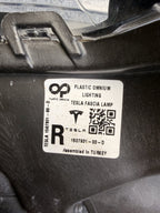 OEM 2021 - 2023 Tesla Model 3 Y Right RH 3 Pin LED Fog Light Lamp 1507931-00-D
