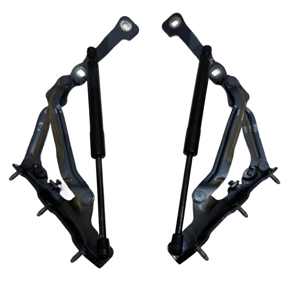 2017 - 2023 TESLA MODEL 3 M3 REAR LEFT & RIGHT TRUNK DECK LID HINGE SET PAIR