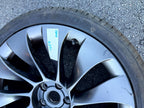 ♦️2017–2023 TESLA MODEL 3 ALUMINUM REPLACEMENT WHEEL OEM, 1044224 00 B