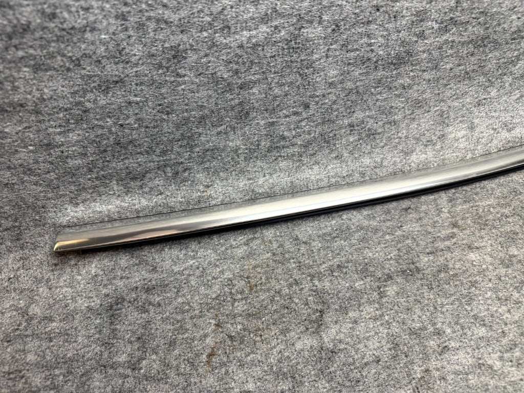 ♦️17–23 TESLA MODEL 3 REAR RIGHT SIDE DOOR MOLDING TRIM STRIP OEM, 1080748-00-E