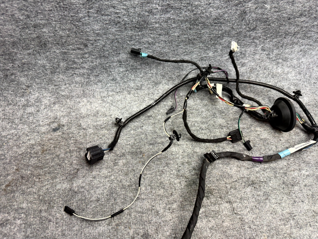 ♦️16-20 TESLA MODEL S REAR LEFT DOOR WIRING HARNESS WIRE LOOM OEM, 1004425-00-Q