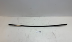 2016-2020 Tesla Model X Rear Left Driver Door Window Belt Molding Trim OEM
