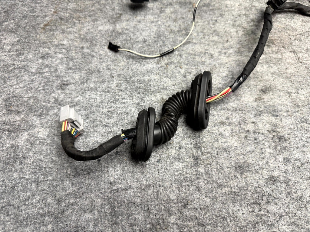 ♦️16-20 TESLA MODEL S REAR LEFT DOOR WIRING HARNESS WIRE LOOM OEM, 1004425-00-Q