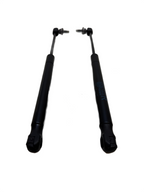 2016-20 Tesla Model X Front Left Right Side Hood Lift Gas Strut Set 1053606-00-B