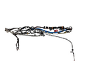 2020-2024 TESLA MODEL Y RIGHT SIDE MAIN BODY WIRE WIRING HARNESS 1489042-00-F