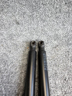 2017 – 2023 TESLA MODEL 3 REAR LEFT & RIGHT TRUNK SHOCK STRUT OEM, 1091560-00-B