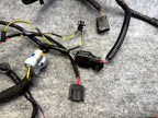 ♦️2012-2020 TESLA MODEL S REAR RIGHT DOOR WIRING HARNESS CABLE OEM, 1004426-00-Q