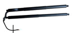 ♦️16-23 TESLA MODEL X REAR RIGHT & LEFT TAILGATE TRUNK SUPPORT OEM, 1065664-00-B