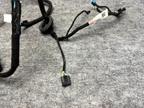 ♦️17-23 TESLA MODEL 3 REAR LEFT SIDE DOOR WIRING HARNESS CABLE OEM, 2067965-00-B
