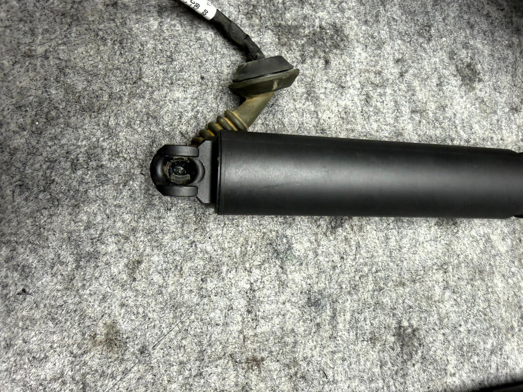 ♦️2017-2023 TESLA MODEL 3 REAR TAILGATE POWER HATCH LIFT STRUT OEM, 1551488-00-C