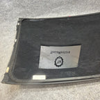 17-23 Tesla Model 3 Middle Panoramic Sunroof TOP Window Glass OEM