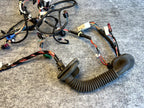 ♦️17-23 TESLA MODEL 3 FRONT RIGHT SIDE DOOR WIRING HARNESS OEM, 1067963-00-D