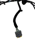 2012-20 Tesla Model S Rear Left Door Wiring Harness Cable Wire Loom 1004425-00-M