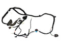 ♦️2017 - 2023 TESLA MODEL 3 REAR LEFT DOOR WIRE WIRING HARNESS OEM, 2067965-00-A