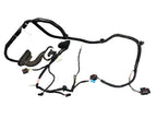 ♦️2017 - 2023 TESLA MODEL 3 REAR LEFT DOOR WIRE WIRING HARNESS OEM, 2067965-00-A