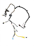 2017-2023 Tesla Model 3 Rear Left Driver Door Harness Wiring 1067965-90-D
