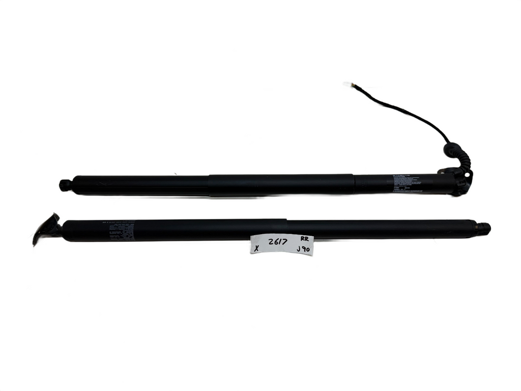 2016-2020 Tesla Model X Rear Lift Gate Struts Pair 1065664-00-A