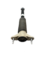 2017-2023 TESLA MODEL 3 RIGHT REAR SHOCK STRUT ABSORBER 1044461-02-E