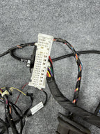 ♦️2017-2023 TESLA MODEL 3 FRONT LEFT SIDE DOOR WIRING HARNESS OEM, 3067957-00-C