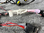 2016-2020 Tesla Model X Rear Left Side Lower Door Wiring Harness OEM, 203244100A