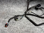 ♦️2017-2023 TESLA MODEL 3 REAR RIGHT SIDE DOOR WIRING HARNESS OEM, 2067966-00-B