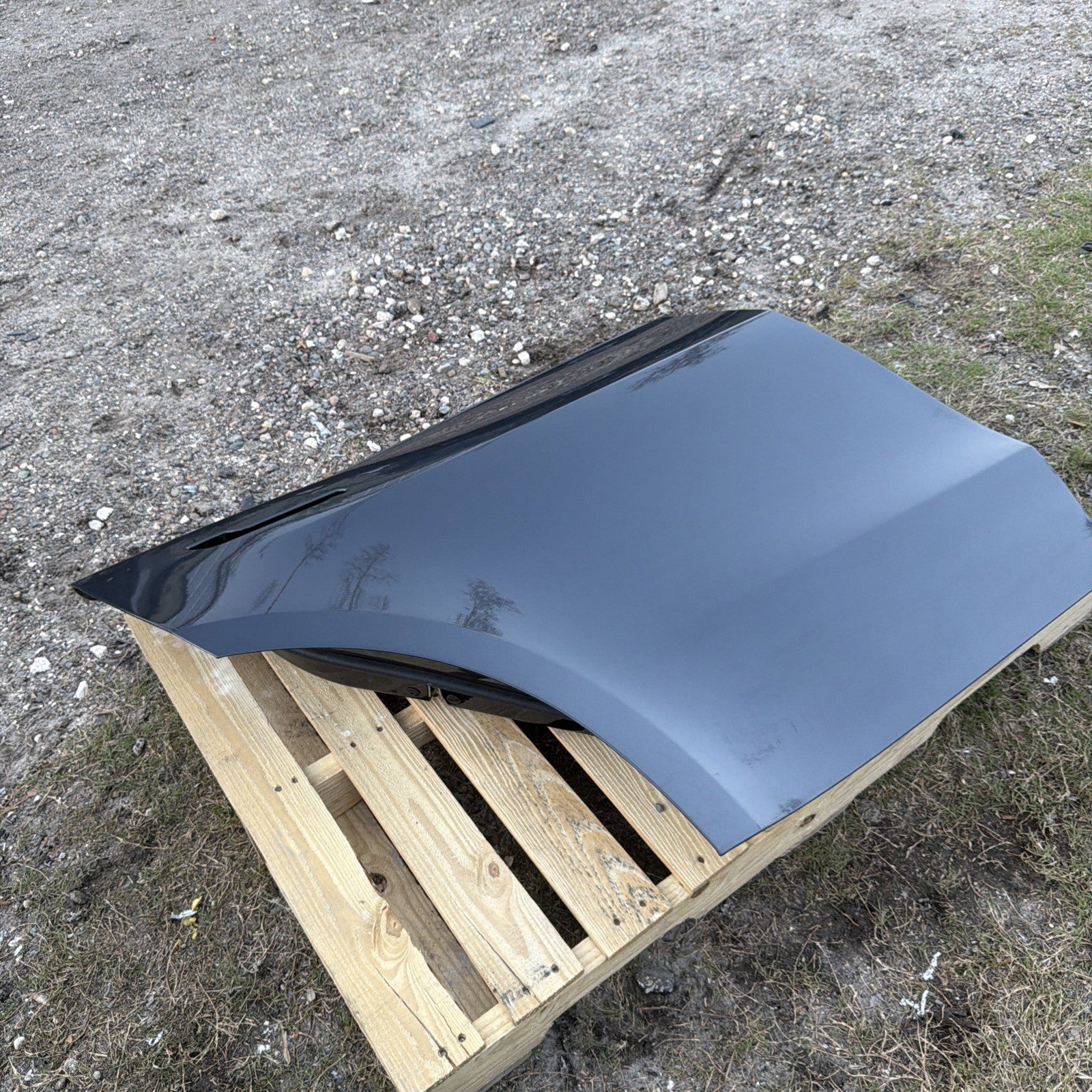 2020-2024 Tesla Model Y Rear Passenger Side Door Shell Panel Right Gray PMNG