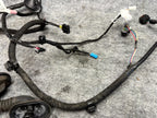 ♦️2017 - 2023 TESLA MODEL 3 REAR LEFT DOOR WIRE WIRING HARNESS OEM, 2067965-00-A
