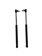 2016-20 Tesla Model X Front Left Right Side Hood Lift Gas Strut Set 1053606-00-B