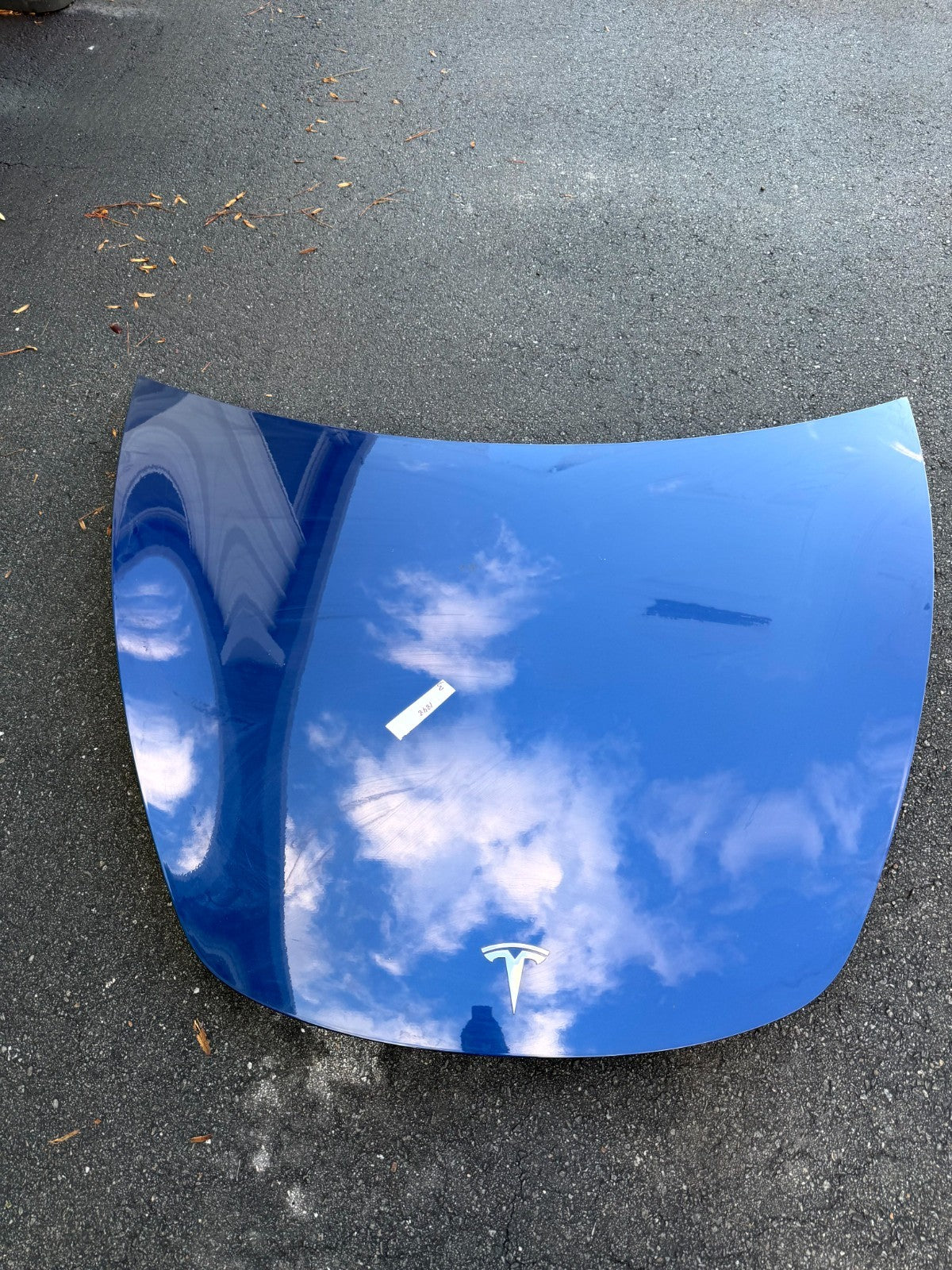 ♦️2017 - 2023 TESLA MODEL 3 FRONT HOOD BONNET PANEL BLUE OEM, 1081390-E0-C