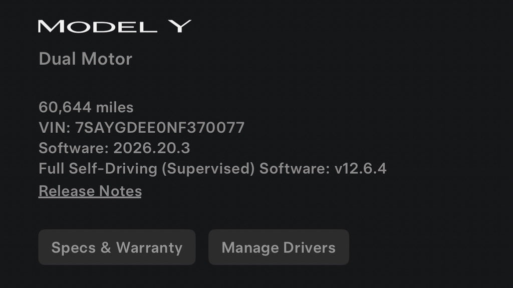 2022 Tesla Model Y 