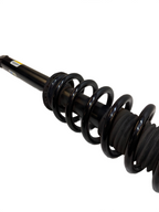 2012-20 Model S Rear Left Right Shock Strut Absorber & Coil Spring 1015620-01-C