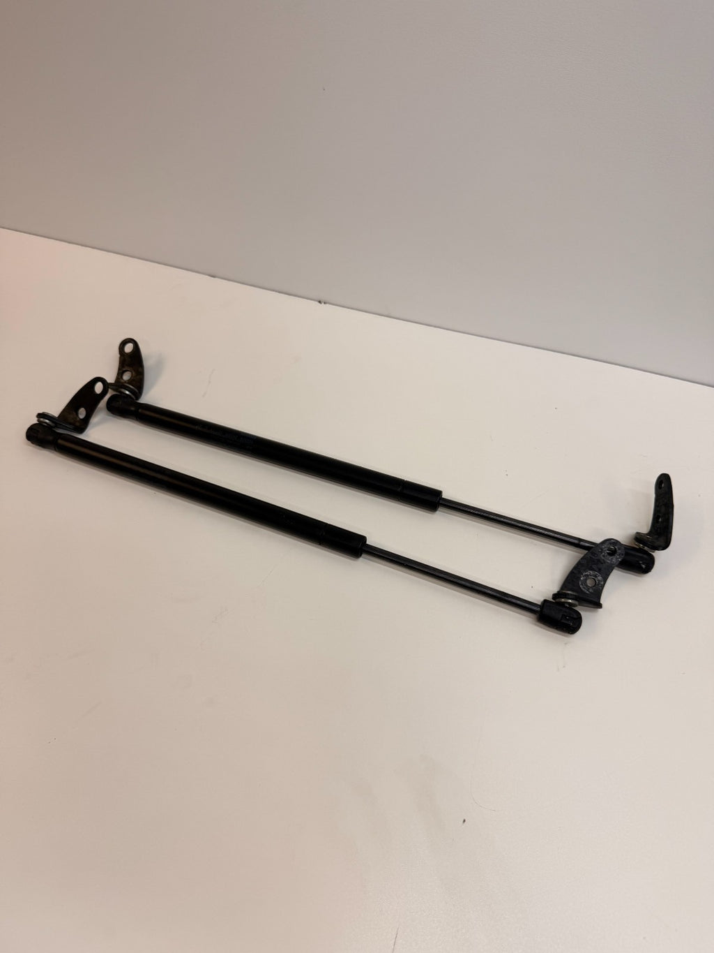2012-2016 Tesla Model S PAIR Left & Right Hood Lift Gas Strut 195505 0460N