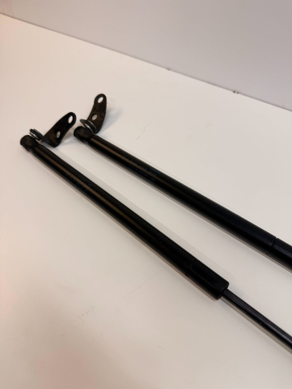 2012-2016 Tesla Model S PAIR Left & Right Hood Lift Gas Strut 195505 0460N