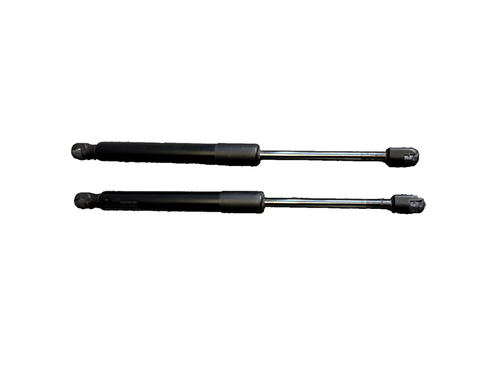 2017 – 2023 TESLA MODEL 3 REAR LEFT & RIGHT TRUNK SHOCK STRUT OEM, 1091560-00-B