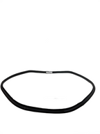 2016-20 TESLA MODEL Y Rear Right Passenger Door Car Body Mount Weatherstrip Seal