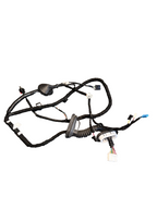 2017-2023 Tesla Model 3 Rear Left Door Wiring Harness 2067965-00-B