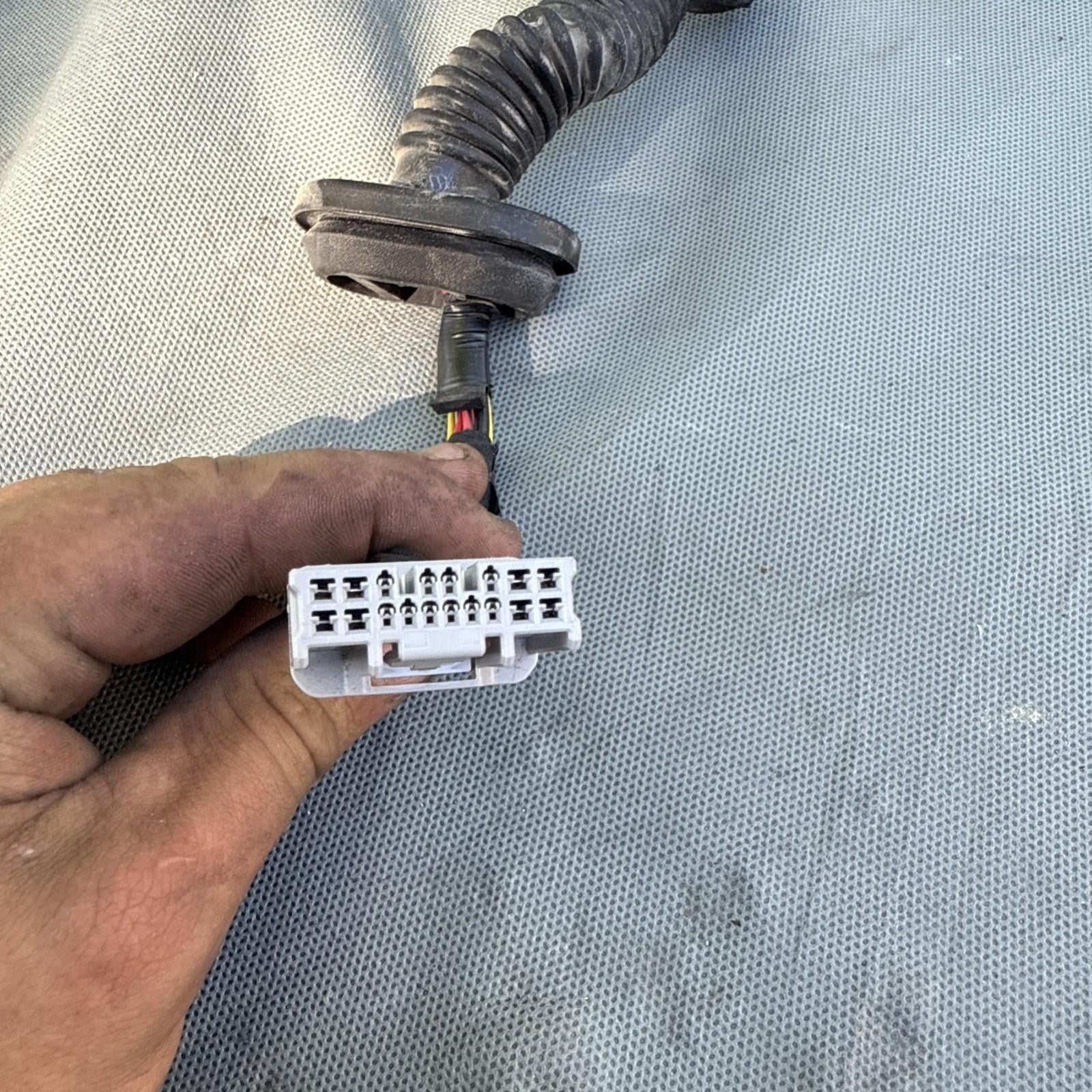 12-20 Tesla Model S Rear Right Door Wiring Harness Wire Loom OEM, 1004426-00-Q