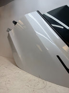 2017-2023 TESLA MODEL 3 REAR LEFT COMLETE DOOR ASSEMBLY