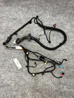 2020 - 2024 TESLA MODEL Y REAR RIGHT SIDE DOOR WIRE HARNESS OEM, 1489054-00-E