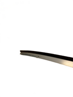 2017-2021 Tesla Model 3 Right Upper Roof Chrome Molding Trim 1083520-00-D