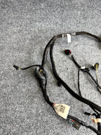 2017-2023 TESLA MODEL 3 REAR RIGHT SIDE DOOR WIRE WIRING HARNESS OEM, 206796600A