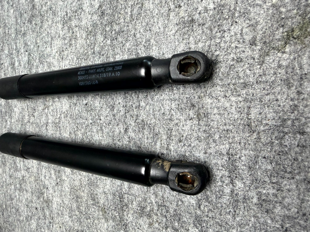 ♦️2017–2023 TESLA MODEL 3 REAR LEFT & RIGHT TRUNK SHOCK STRUT OEM, 1091560-00-B
