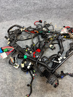 2020-2024 Tesla Model Y AWD Front Wire Wiring Harness OEM 2489058-01