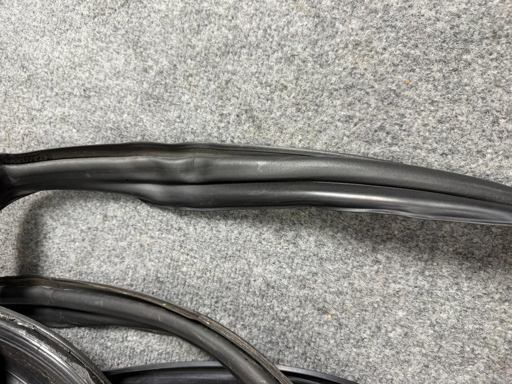 16-24 Tesla Model X Rear Left Driver Side Door Body Weatherstrip Rubber Seal OEM