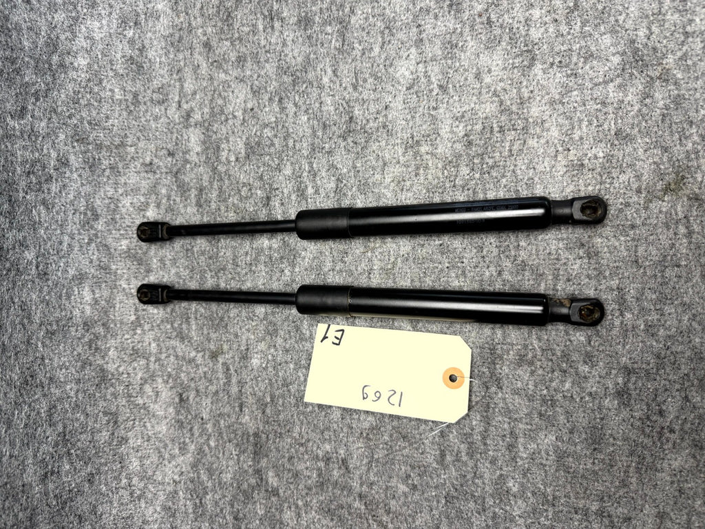 ♦️2017–2023 TESLA MODEL 3 REAR LEFT & RIGHT TRUNK SHOCK STRUT OEM, 1091560-00-B