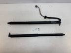 2012-2020 Tesla Model S Rear Tailgate Support Shock Lift Trunk Lid Strut SET