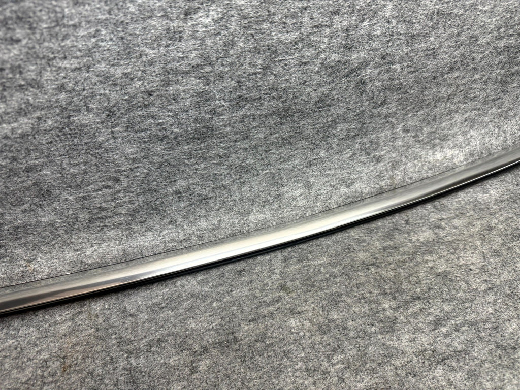 ♦️17–23 TESLA MODEL 3 REAR RIGHT SIDE DOOR MOLDING TRIM STRIP OEM, 1080748-00-E