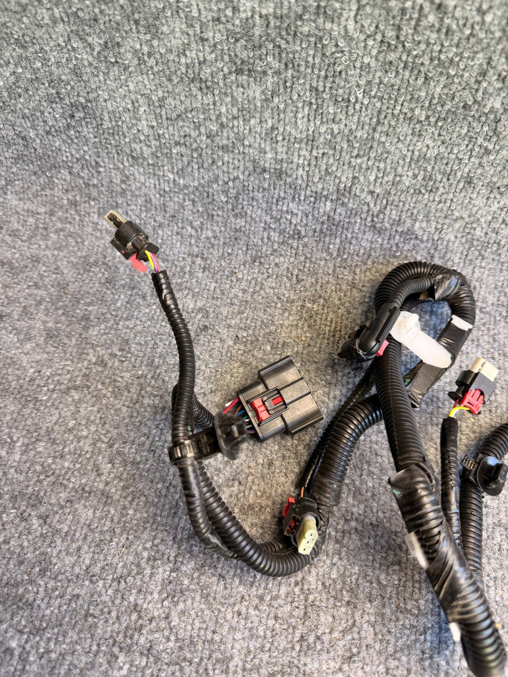 2017 - 2023 TESLA MODEL 3 FRONT BUMPER WIRE WIRING HARNESS 2067958-00-B